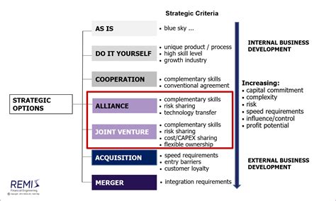 What are some examples of alliances? Strategic Alliances and Joint Ventures in Norway - Remis ...
