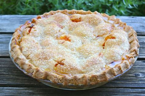 Traditional Apricot Pie Homemade Golden Glory In Flakey Crunchy Bliss