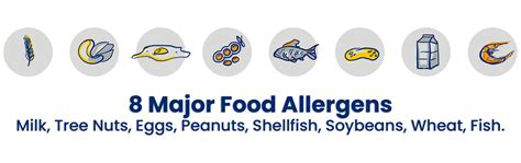 Food Allergens And The Importance In Restaurants