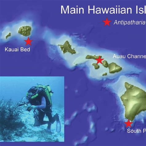 4 Topographic Map Of The Northwestern Hawaiian Islands With Coral