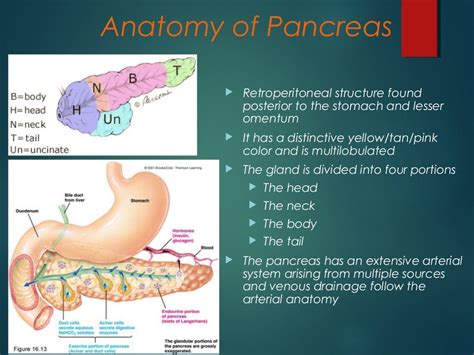 Pancreatico Pleural Fistula