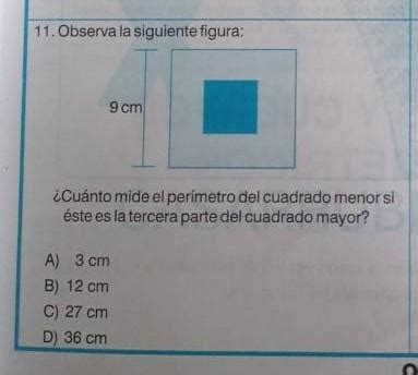 Observa La Siguiente Figura Cm Cu Nto Mide El Per Metro Del