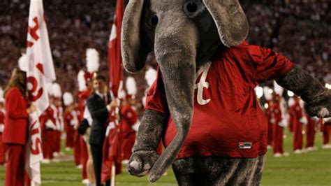 Why Is Alabamas Mascot An Elephant Mental Floss