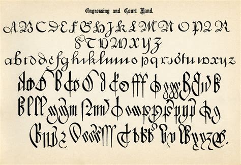 Antique Calligraphy Alphabets Old Design Shop Blog Caligraphy
