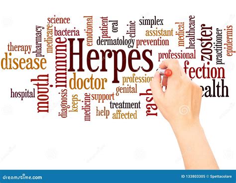 genital herpes symptoms infectious dermatology disease illustration cartoon vector