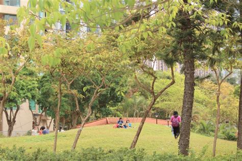 56799 12 3 4 5 6 7 8 9 10. 馬鞍山公園．西式臨海花園