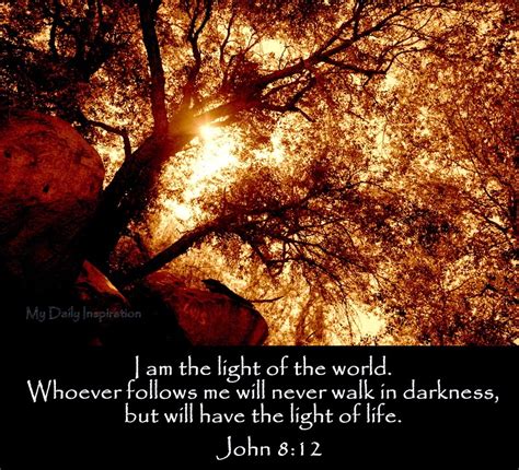 I Am The Light Of The World Whoever Follows Me Will Never Walk In