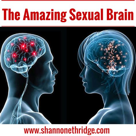 the amazing sexual brain official site for shannon ethridge ministries