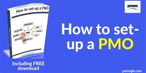 Pmo Setup Project Management Office Set Up How To Set Up A Pmo