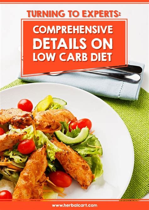 Low Carb Diet Meal Plan Pdf United States Guide User Examples