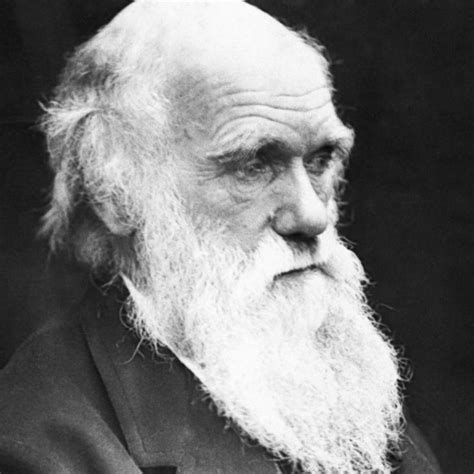 Routine Charles Darwin The Freedom Endeavour