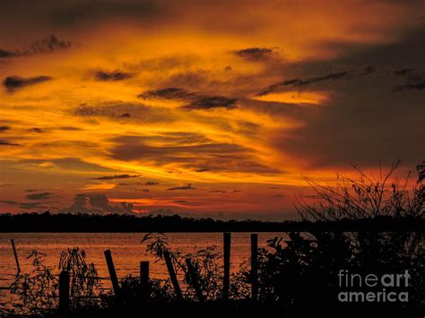 Shoreline Sunset Photograph By Marilee Noland Fine Art America