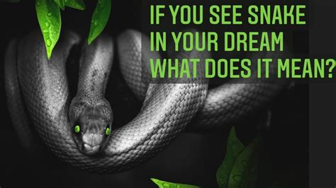 Islamic Interpretation Of Dreams By Ibn Sireen When You See Snakes In
