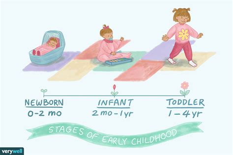 Baby Newborn Infant And Toddler Definitions