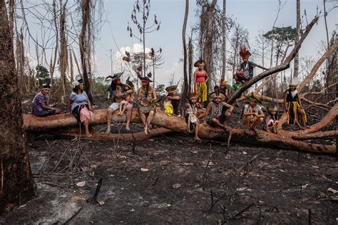 aumento das invasões das terras indígenas em todo brasil é alarmante greenpeace brasil
