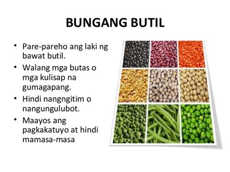 Halimbawa Ng Butil Na Pagkain