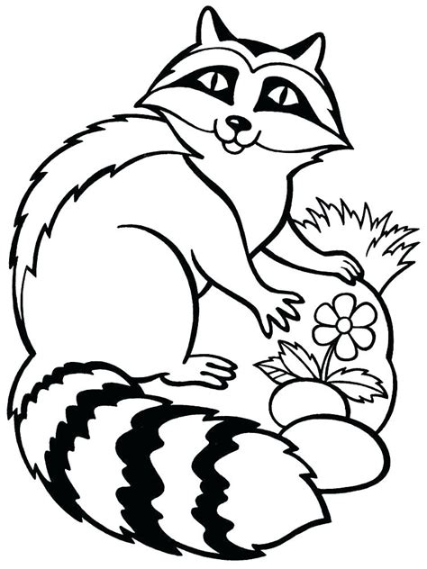 Raccoon Head Coloring Coloring Pages