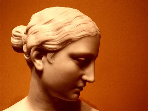 Grecian nose — noun a straight nose which forms a continuous line with the forehead • • • main entry: orange profile | "The Greek Slave" by Hiram Powers(1805 ...