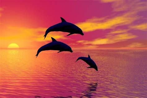 Cute Dolphins At The Beach Wallpaper Fenômenos Naturais Natureza