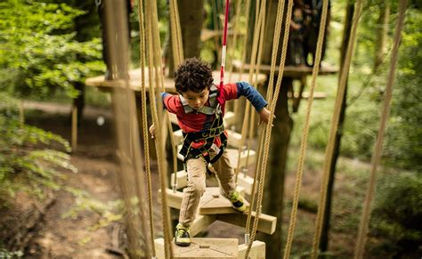 Treetop Trek Manchester - Clued In With Kids
