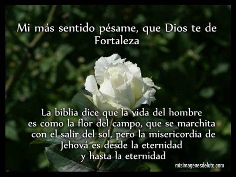 Ver más ideas sobre frases de aniversario luctuoso, tarjetas de condolencias, frases de aniversario. Pin en IMAGENES DE LUTO