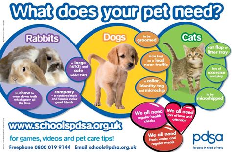 Downloadable Posters Guides And Information All You Need For A Pet