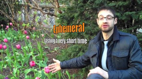 A misplaced modifier is a modifier that is (mis)placed next to the wrong subject or noun in a sentence. How to use EPHEMERAL in a sentence - YouTube