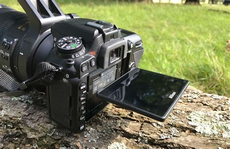 Nikon D7500 Review A Realistic Field Test For Wildlife Photographers
