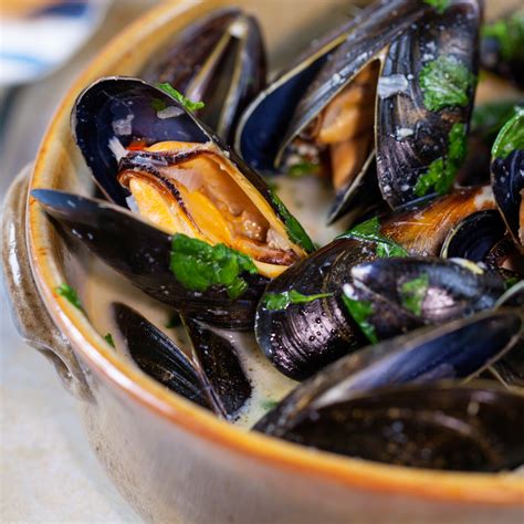 Steamed Mussels Oysters Clams