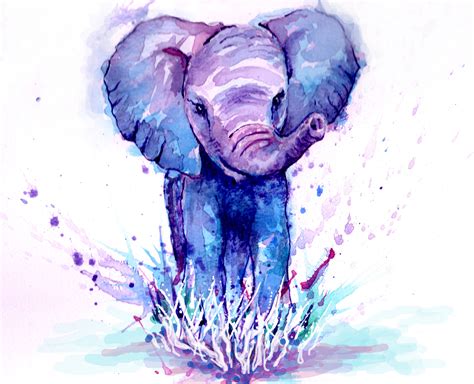 Baby Elephant Watercolour By Sarah Caisey Prints Available Via