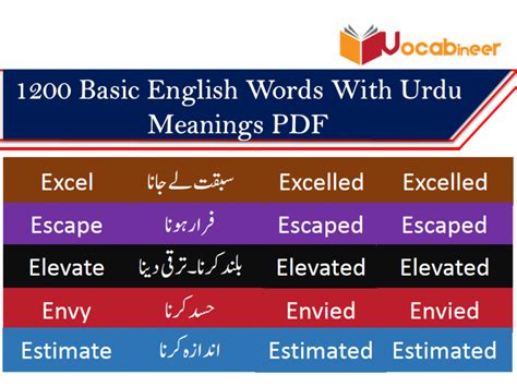 1200 Basic English Words With Urdu Meanings Pdf Set 5 Vocabineer