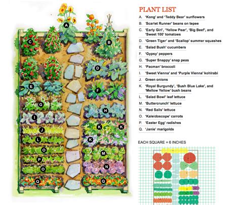How to plan your vegetable garden | free online garden planning toolin this video we take a look at a how to plan your vegetable garden layout by using a. Pin by Andrea Herle on greenish | Vegetable garden ...