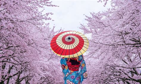 Cultura De Japón Características Costumbres Y Tradiciones