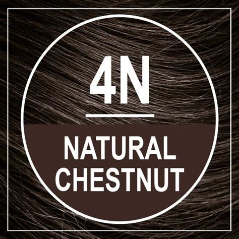 Naturtint Permanent Hair Color 4n Natural Chestnut Pack Of 1 Ammonia