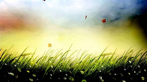 Grass Background Video Effects - Video Effects HD Free Stock 25fps ...