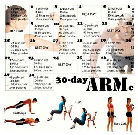 30 Day Arm Challenge Workout Challenge Exercise Arm Workout