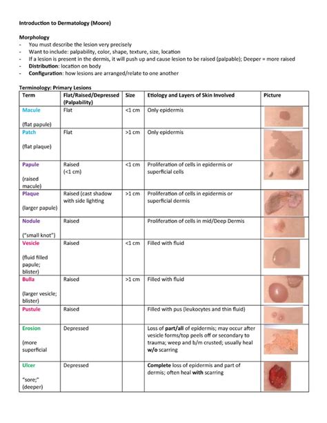 1 Introduction To Dermatology Moore Dermatology Nurse