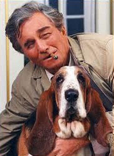 Dear Abby Famous Tv Dogs Dog The Basset Hound From Columbo Columbo