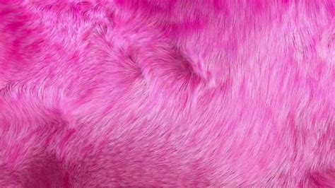 Pink Furry Background Hd Motion Graphics Videohive