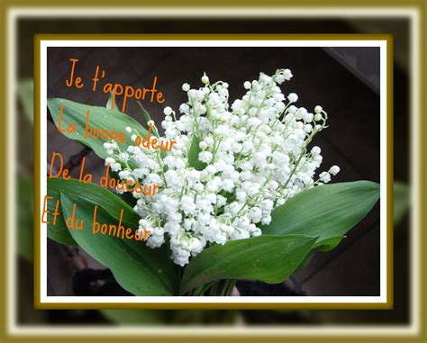 La plante clochettes a toujours symbolis le printemps et les celtes lui accordaient des vertus portebonheur. Imagetextes: Muguet-porte-bonheur