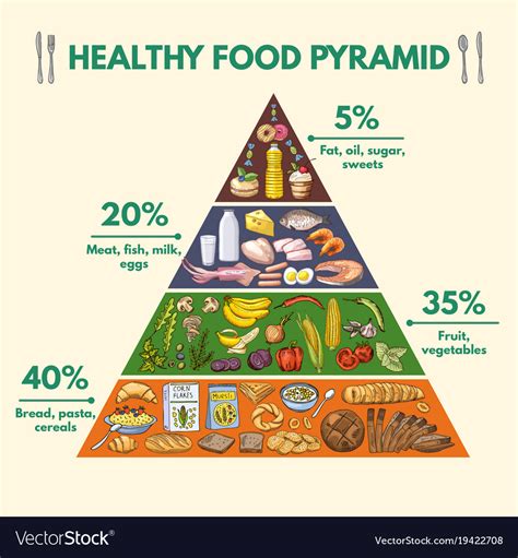 Healthy Food Pyramid Infographic Pictures With Vector Image