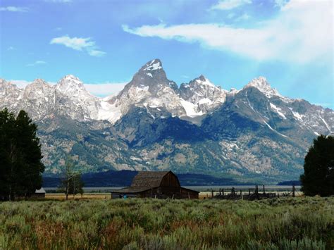 Yellowstone And Grand Teton 2011 Life Management Skills