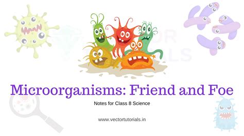 Microorganisms Friend And Foe Notes Class 8 Best Guide