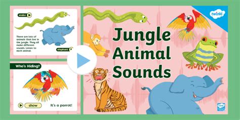 Animal Sound Guessing Game Twinkl Teacher Made