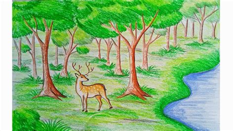 Forest Drawing With Animals At Explore Collection