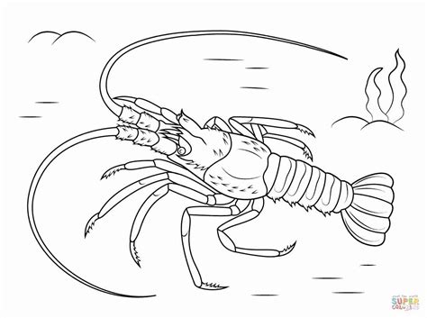 Lobster Coloring Page At Getdrawings Free Download