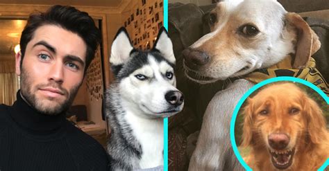 20 Dogs That Look Exactly Like Humans 22 Words