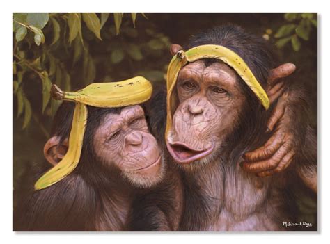 These Silly Chimps Have Found A Hilarious New Use For Banana Peels And