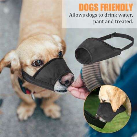 Are Muzzles Bad For Dogs Barking