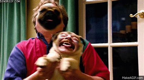 25 Horrifying and Hilarious Animal Face Swaps | Pleated Jeans